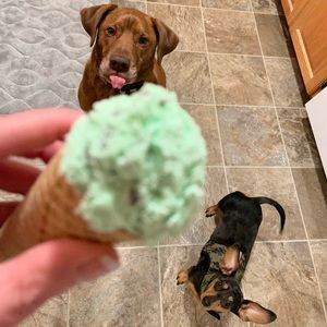 Meet your Posher, Brittany